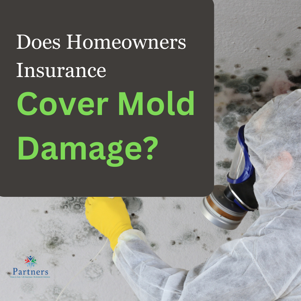 insurance cover mold damage
