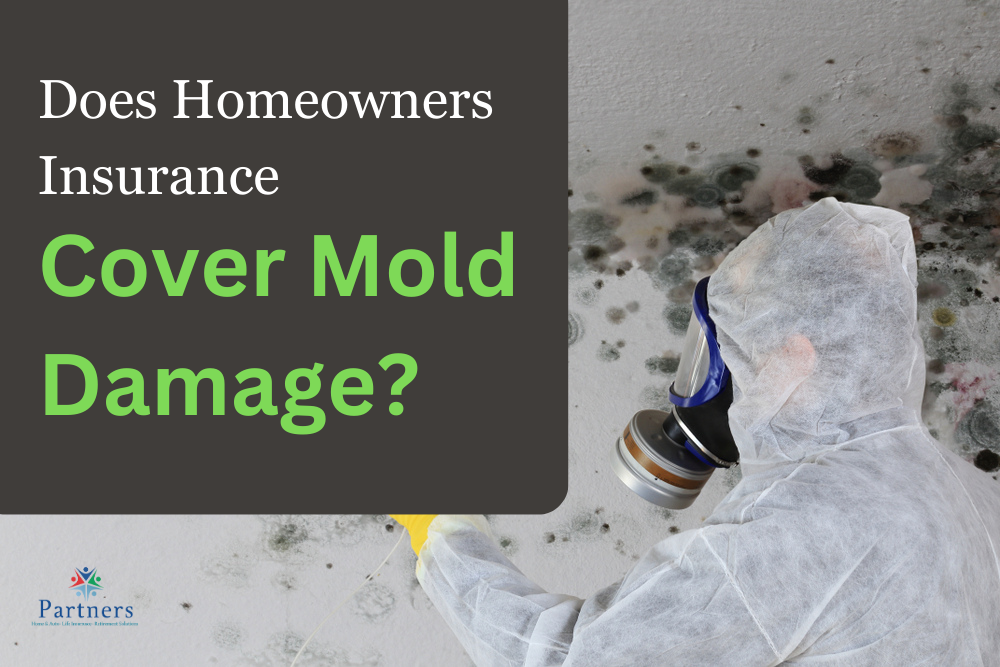 insurance cover mold damage