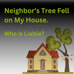 neighbor's tree fell on my house