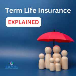 term life insurance explained blog post