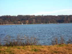 creve coeur lake